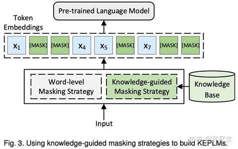 论文 知识增强的预训练语言模型综述 知乎
