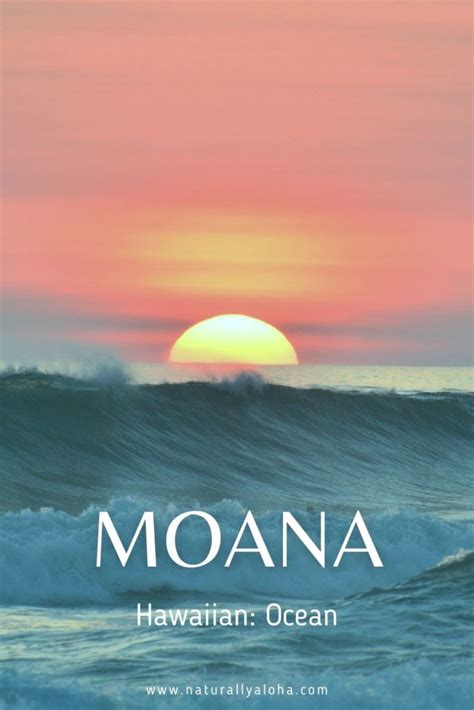 How To Say 5 Aesthetic Hawaiian Water Words Naturally Aloha