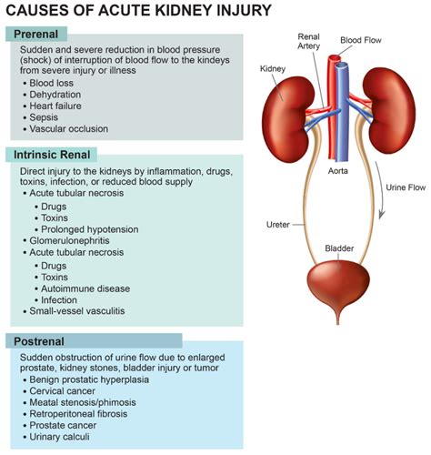 Jcm Free Full Text Diagnostics Risk Factors Treatment And