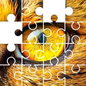 Eye Close Yellow Jigsaw Puzzle - JigZone.com