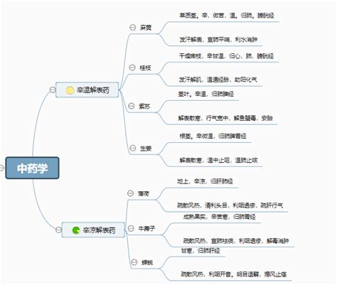 思维导图丨流程图模板 名片模板 迅捷画图