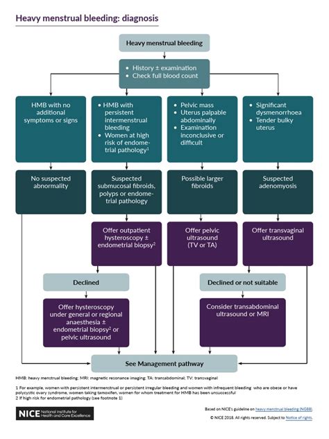 Diagnosis Care Pathway Menorrhagia Pdf