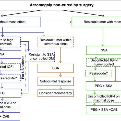 Pegvisomant (PEG) place in the algorithm of treatment of persistent ...