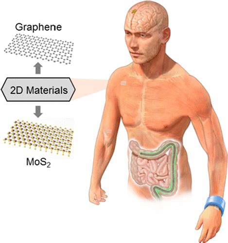 Wearable And Implantable Soft Bioelectronics Using Two Dimensional Materials Accounts Of