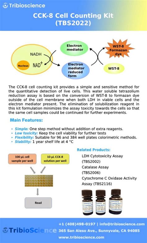 Wst 8 Or Cell Count Kit 8 Cck 8 Tribioscience