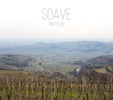 Italian Secrets: How to Find Great Soave Wine | Wine Folly