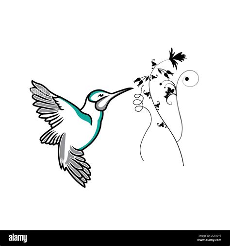 Icono o logo de colibrí estilizado en diferentes estilos Arte lineal