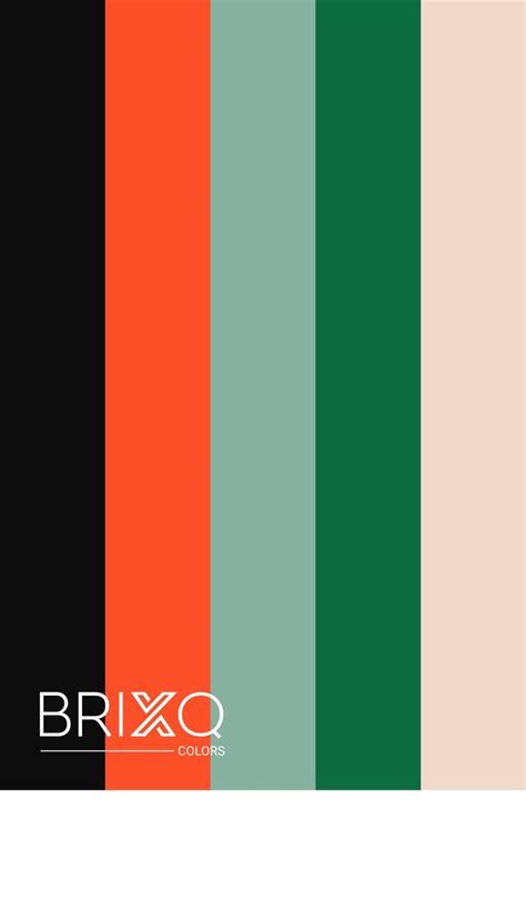 Color Palette And Schemes For Designers