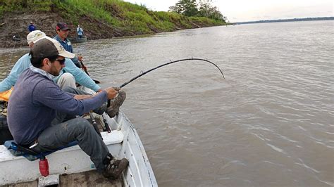 Tips for catching freshwater stingray on the Amazon In Peru - Otorongo ...