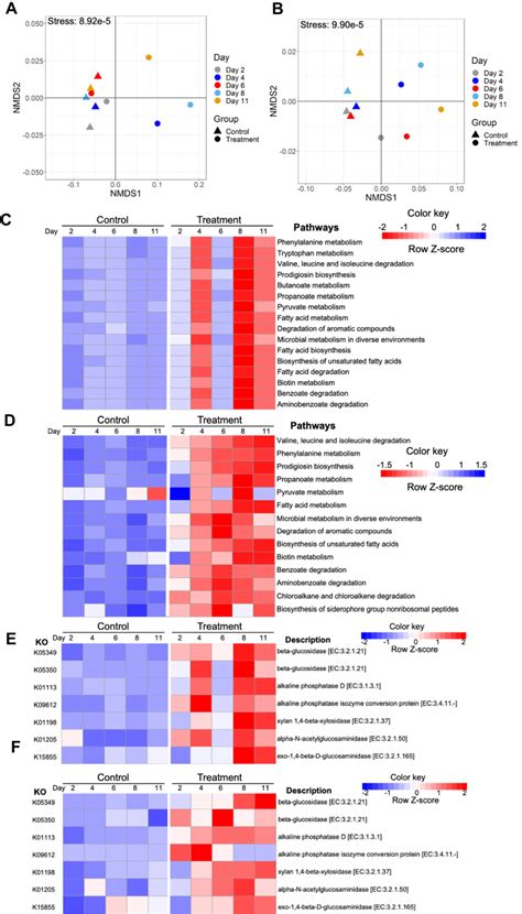 Function Profiles Of Bacterial Communities Of Control And Treatment