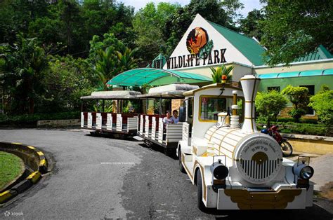 kota kinabalu  lok kawi wildlife park  malaysia klook etats unis