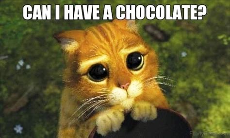 15 Ultimate Chocolate Memes