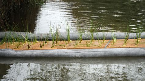 Projeto Aqualastic Instala Ecobarreira No Rio Selho E Filtros De