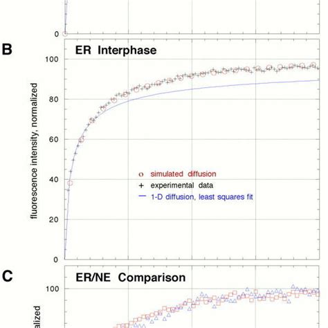 Quantitative FRAP Experiments To Determine Diffusion Constants For