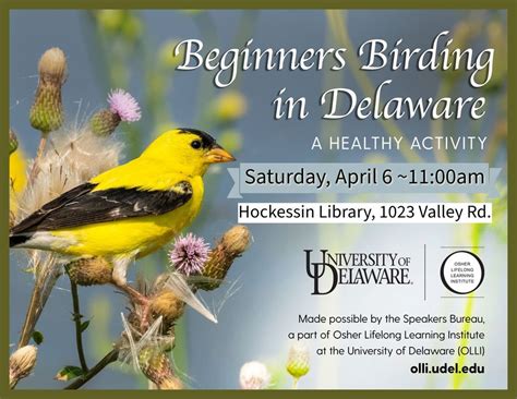 Beginners Birding in Delaware: A Healthy Outdoor Activity, 1023 Valley ...