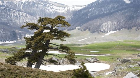 Monte Pollino Calabria Italy Pollino National Park Nature Landscape