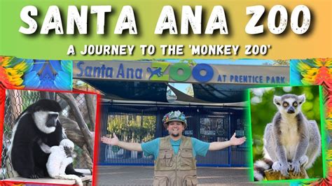 SANTA ANA ZOO - Tour of the 'Monkey Zoo of Orange County' - Family Fun ...