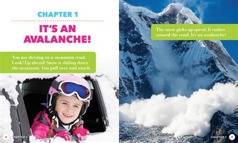 avalanches flutterbee education group