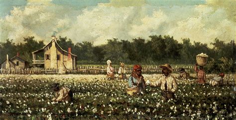 Cotton Field Mississippi Oil On Panel Photograph By William Aiken Walker