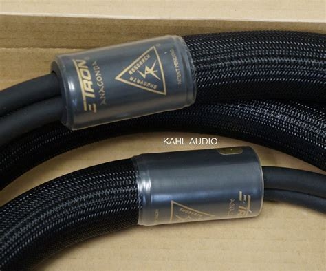 Shunyata Research ZiTron Anaconda Speaker Cables 2 5m Pr W Bananas