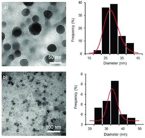 Tem Images And Particle Size Histograms Of A Csnps And B Cs Pca And