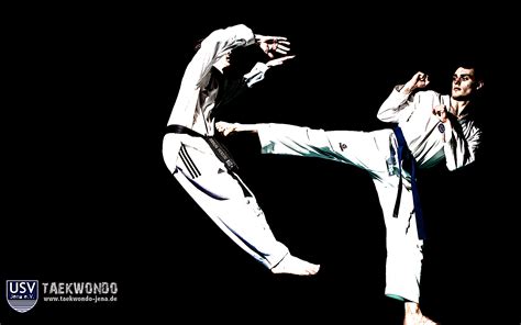 150 Taekwondo Wallpapers WallpaperSafari