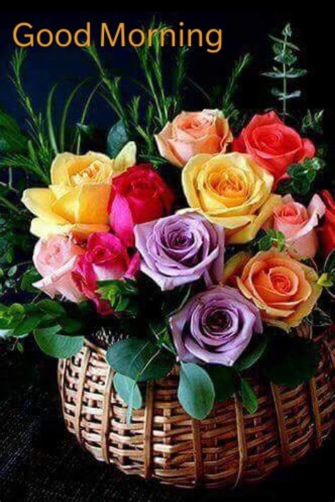 Pin Em Good Morning Flores Rosas Rosas Lindas Flores Bonitas