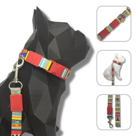 Conjunto Coleira E Guia Pet Confort Vel E Resistente Para Cachorro E