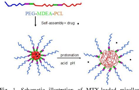 Figure From Preparation And Characterization Of Ph Responsive