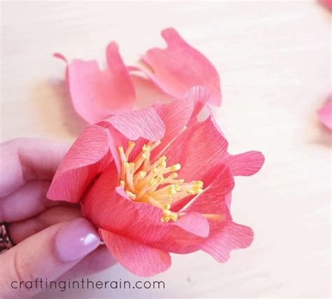 Crepe Paper Peony Tutorial Crafting In The Rain