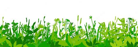 Premium Vector Green Grass Border Isolated On White Background Vector