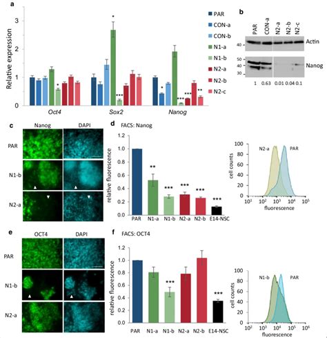 Expression Of Pluripotency Markers In Hmgn Knockout Cells A Relative