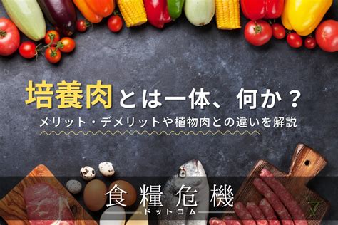 培養肉とは？メリット・デメリットや植物肉との違いを解説 食糧危機ドットコム