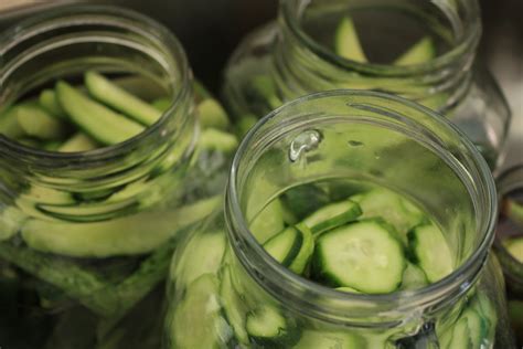 Suburban Homemade Pickled Gherkins