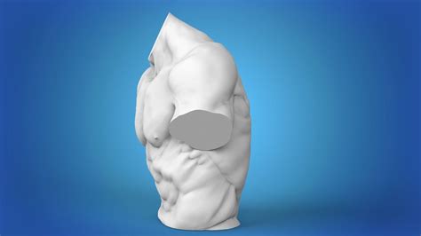 Muscle Man Torso 3D Model 3D Printable CGTrader