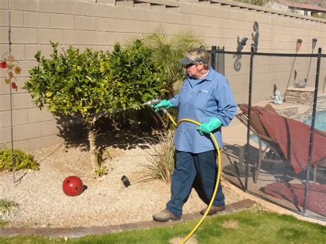 1 Exterminator Chandler Heights Pest Control Bill S Pest Control