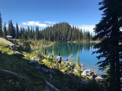 Mount revelstoke national park – Artofit