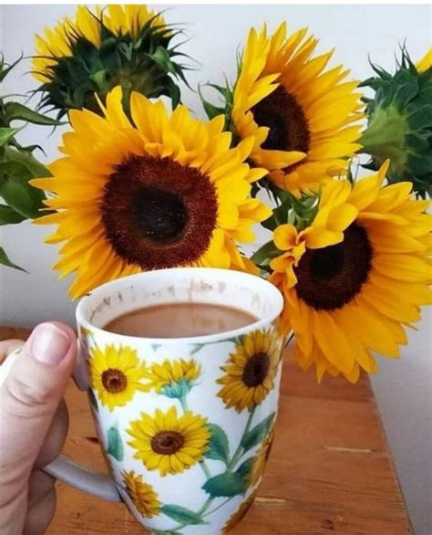 Pin De Tammy Foster En Sunflowers En Frases Bonitas De Felicidad