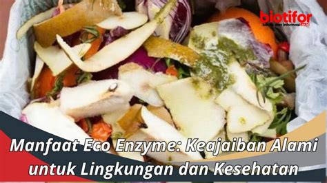 Manfaat Eco Enzyme Keajaiban Alami Untuk Lingkungan Dan Kesehatan