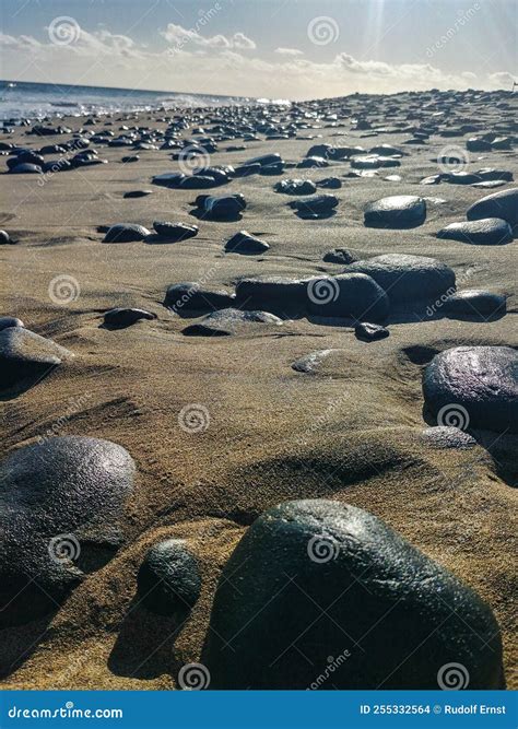 Sandy Beach with Black Stones at Punta De Maspalomas, Gran Canaria