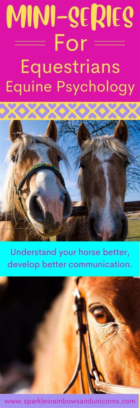 Equine Psychology Mini Series Understanding Horse Behavior Before You