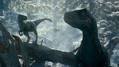 Jurassic World Dominion review: a lackluster end to a prehistoric ...