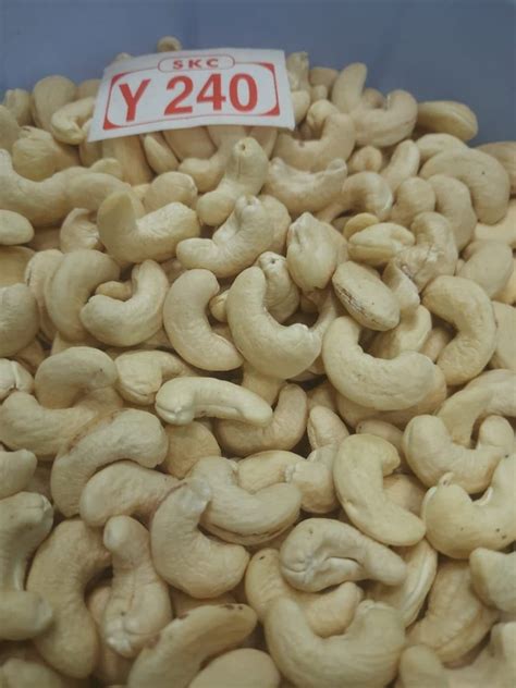 Y Whole Cashew Nuts At Rs Kg In Koraput Id