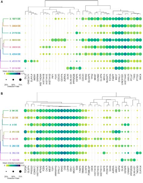 Day 13 Dot Plots Visualizing Cluster Differential Expression Of