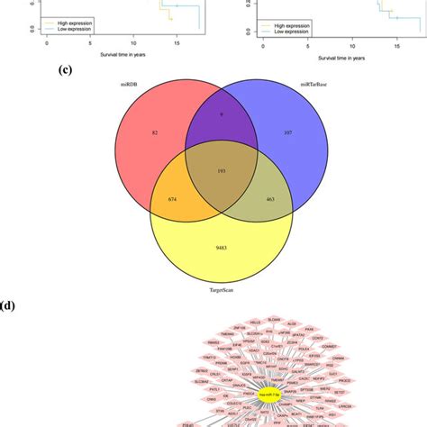 Survival Analysis And The Target Genes Prediction Of The Key Prognostic