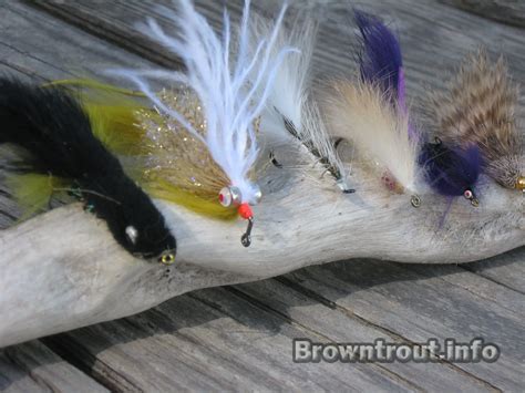 Fishing For Spawning Brown Trout – Troutster.com – Fly Fishing Tips and ...