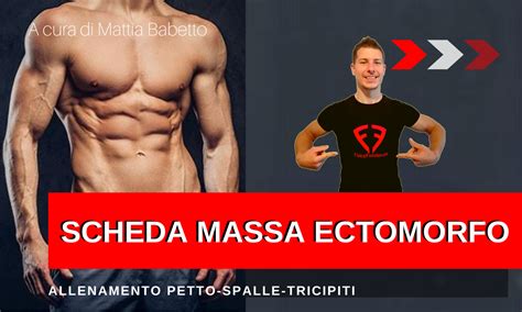 Scheda Massa Muscolare Ectomorfo Petto Spalle Tricipiti