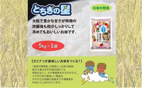 栃木県鹿沼市産 とちぎの星 無洗米 5kg 令和6年産 水稲うるち精米 単一原料米 お米 特a 大粒（栃木県鹿沼市） ふるさと納税サイト