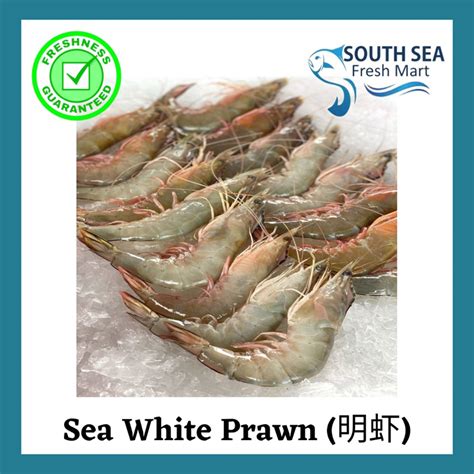 Premium Sea White Prawn 明虾 500g Per Pkt South Sea Shopee Malaysia