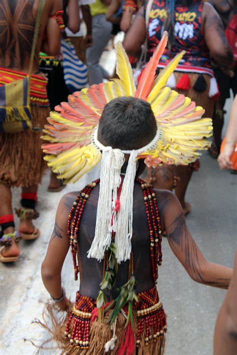 Img Amigos Da Terra Amaz Nia Brasileira Flickr